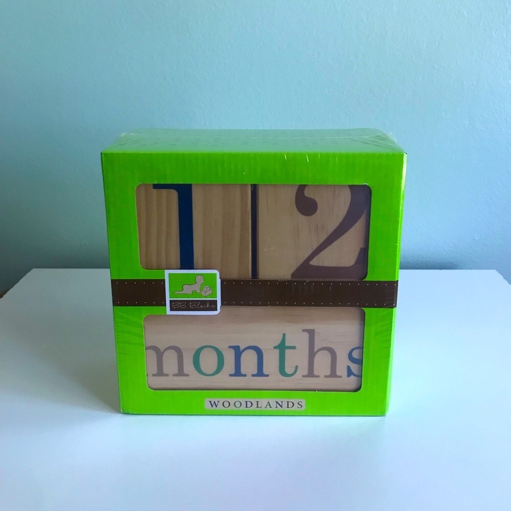 BB Blocks Baby Age Photo Blocks Woodlands